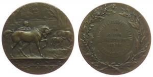 Frankfurt - zur 50. Jubiläumsfeier Landwirtschaftlicher Verein - 1887 - Medaille  vz