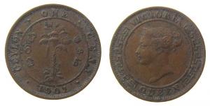 Ceylon - 1901 - 1 Cent  ss