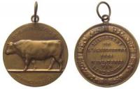 Landwirtschaftsministerium - 1955 - tragbare Medaille  vz