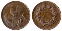Heidelberg - auf die II. Ausstellung des Vereins für Vogelschutz - 1881 - Medaille  vz-stgl
