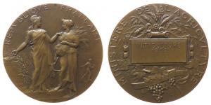 Landwirtschaftsministerium - Weinanbau - 1909 - Medaille  vz+