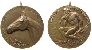 Reitertag Junglandbund Nassau - 1930 - tragbare Medaille  vz