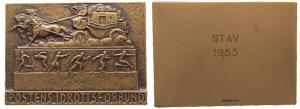 Sportbund - 1955 - Plakette  prägefrisch