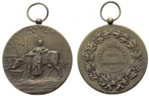 Zomergen - Viehmarkt - 1955 - tragbare Medaille  ss-vz