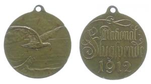 Flugspende - 1912 - tragbare Medaille  vz