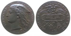 Paris - auf den allgemeinen landwirtschaftlichen Wettbewerb - 1891 - Medaille  vz