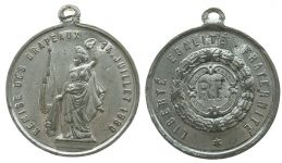 Flaggenparade am 1. Nationalfeiertag - 1880 - tragbare Medaille  vz