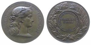 Arras - auf die landwirtschaftliche Schulausstellung - 1893 - Medaille  vz