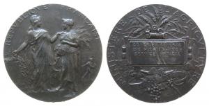 Paris Allgemeine Aussstellung - für den ärztlichen Dienst - 1908 - Medaille  ss+