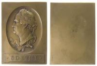 Goethe (1749-1832) - o.J. - Plakette  vz