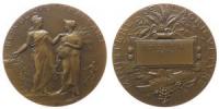 Landwirtschaftsministerium - Weinanbau - 1909 - Medaille  vz+