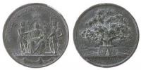 Christian VIII. von Dänemark - auf den offenen Brief des Königs - 1846 - Medaille  ss