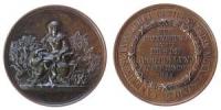 Münnerstadt - auf die 1. Ausstellung des Landwirtschaftlichen Bezirksvereins - 1895 - Medaille  vz-stgl