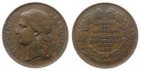 Paris - auf die Weltausstellung - 1878 - Medaille  ss