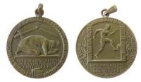 DFB - auf den 10. Jahrestag des Beginns des 1. Weltkrieges - 1924 - tragbare Medaille  vz