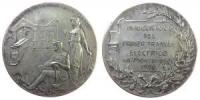 Montevideo - auf die erste elektrische Straßenbahn - 1906 - Medaille  ss