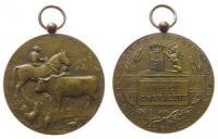 Hainaut - uf die Landwirtschaftliche Ausstellung - 1911 - tragbare Medaille  vz
