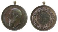 Leopold II. (1865-1909) - auf die Landwirtschaftsausstellung in Visé - 1885 - tragbare Medaille  vz
