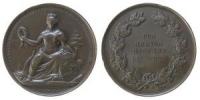 Hannover - auf die allgemeine land- und forstwitschaftliche Ausstellung - 1881 - Medaille  ss