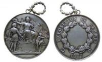 Rennes - auf die Ausstellung - 1887 - tragbare Medaille  ss