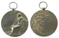 Mamers - 1911 - 1911 - tragbare Medaille  vz