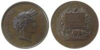 St. Omer - Landwirtschaftsministerium - 1898 - Medaille  vz+