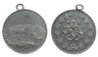 Edenkoben - auf das VII. Verbandsschiessen - 1883 - tragbare Medaille  ss-vz